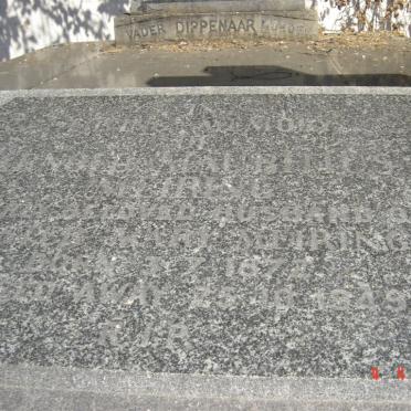 MEIRING Arnold Mauritius 1872-1949