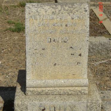 ROUX David 1952-1954