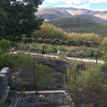 Western Cape, UNIONDALE district, Elands Valley 163, Elandsdrif, farm cemetery