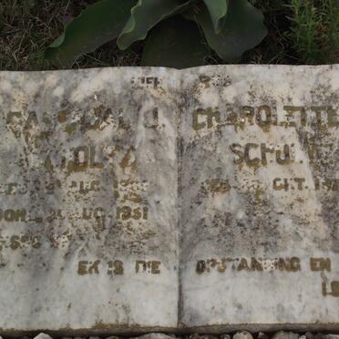 SCHOLTZ Gaberual J. 1869-1951 &amp; Charlotte J. 18??-????