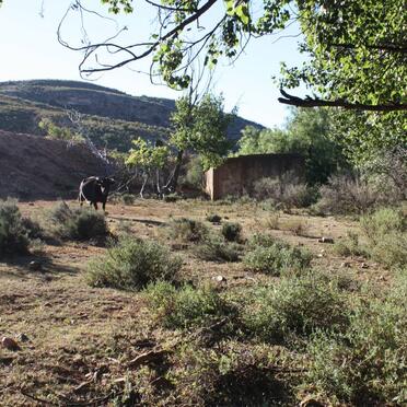 Western Cape, UNIONDALE district, Dwarsfontein 140, farm cemetery_2