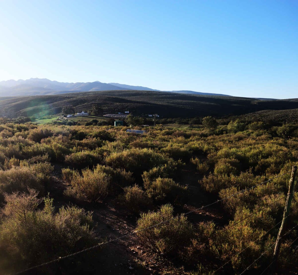 1. Oorsig / Overview