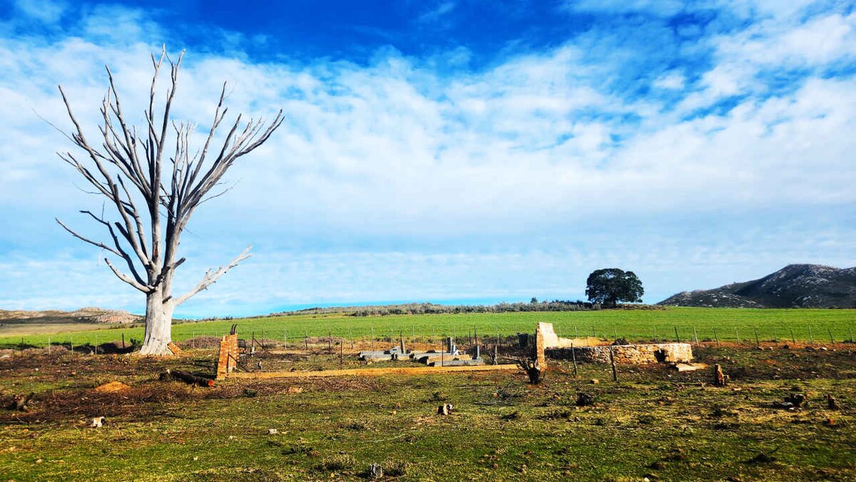 2. Oorsig / Overview