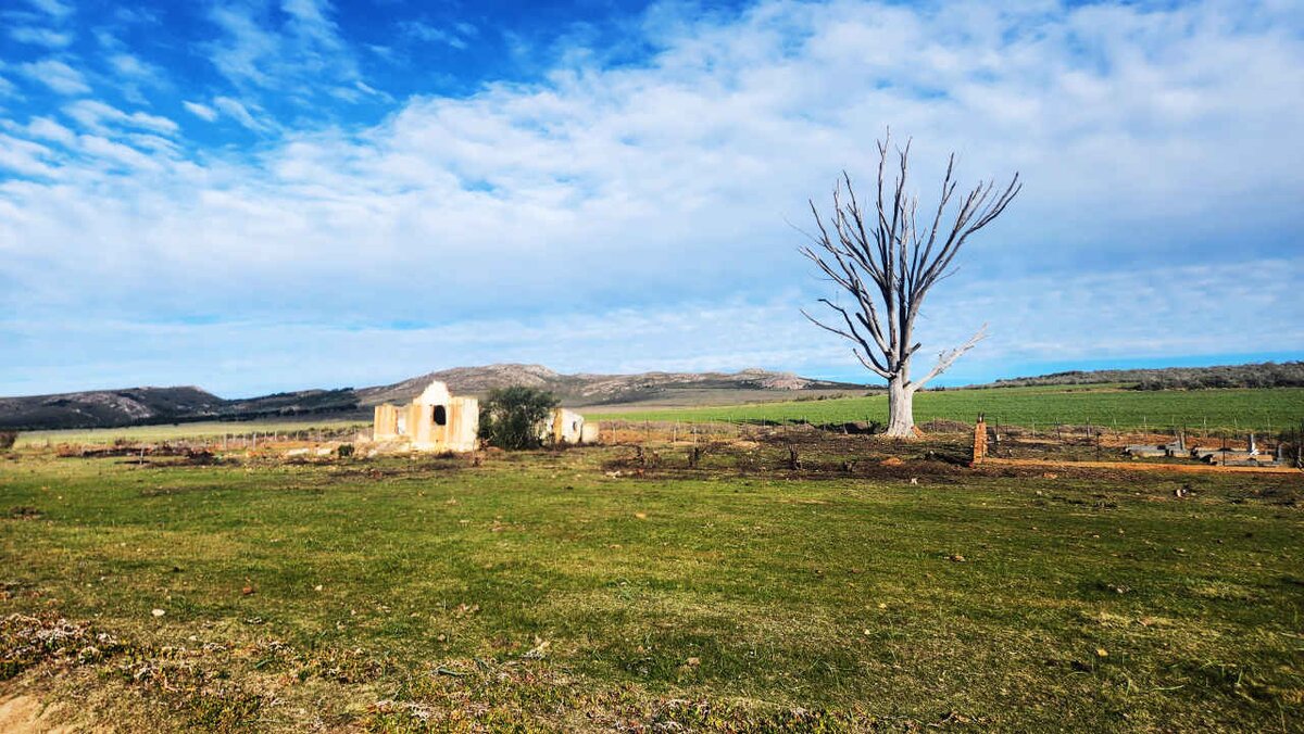 1. Oorsig / Overview