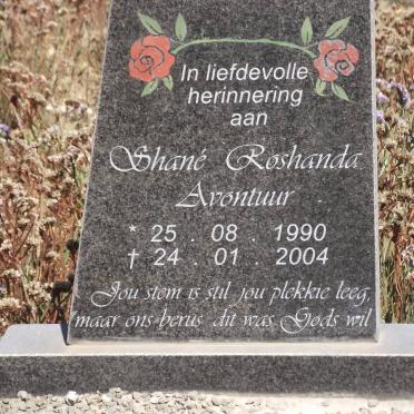 AVONTUUR Shane Roshanda 1990-2004