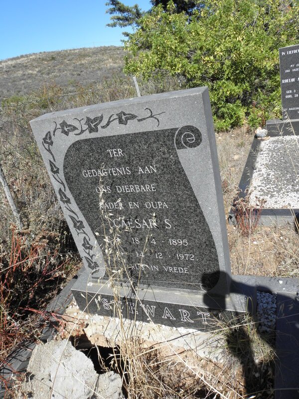 STEWART Ceasar S. 1895-1972