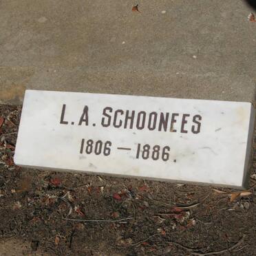 S - Surnames :: Vanne - S