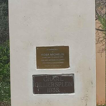 MICHELIN Rosa 19?3-2023