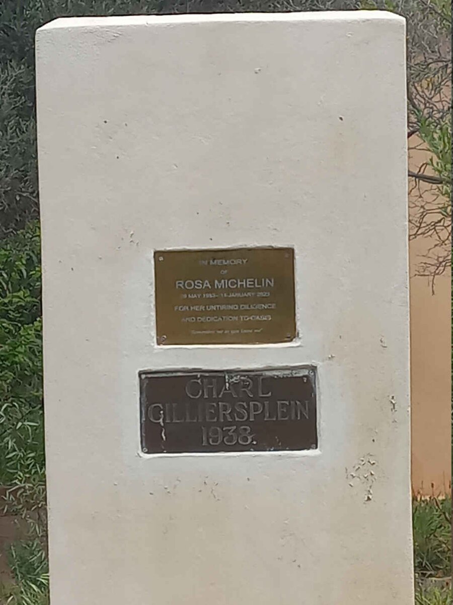 MICHELIN Rosa 19?3-2023