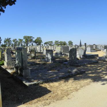 4. Overview / Oorsig