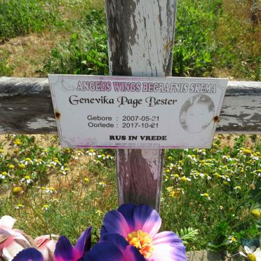 BESTER Genevika Page 2007-2017