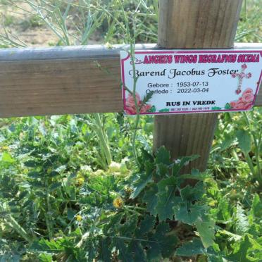 FOSTER Barend Jacobus 1953-2022