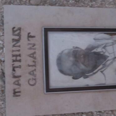 GALANT Marthinus