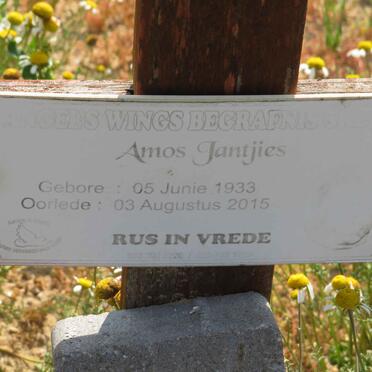 JANTJIES Amos 1933-2015