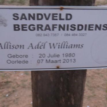 WILLIAMS Allison Adél 1980-2013