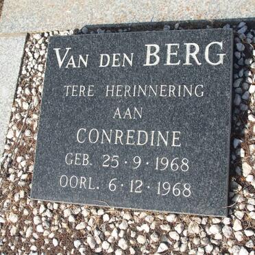 BERG Conredine, van den 1968-1968 