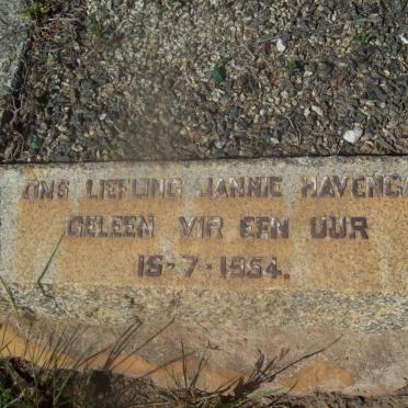 HAVENGA Jannie -1954