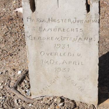 LAMBRECHTS Maria Hester Johanna 1931-1931