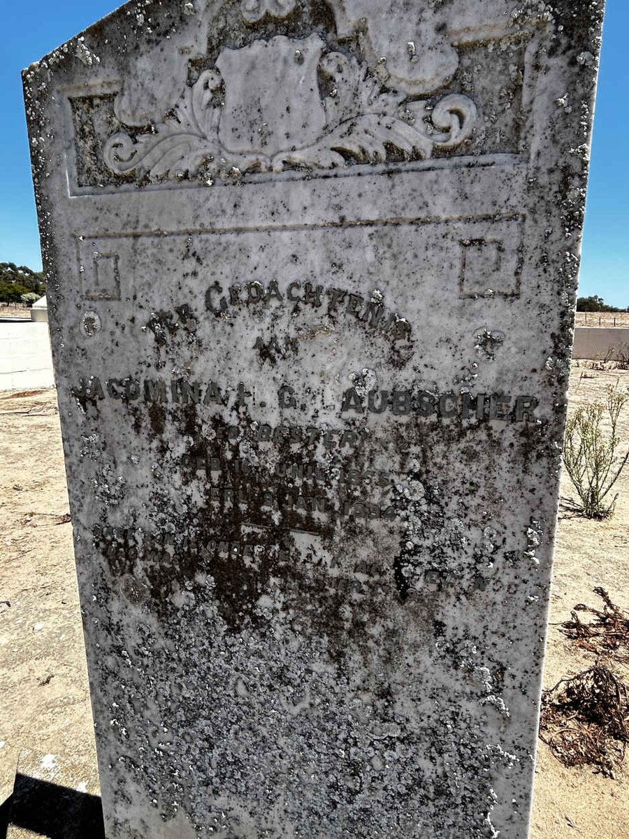 LAUBSCHER Jacomina H.G. nee BESTER 1855- 1894