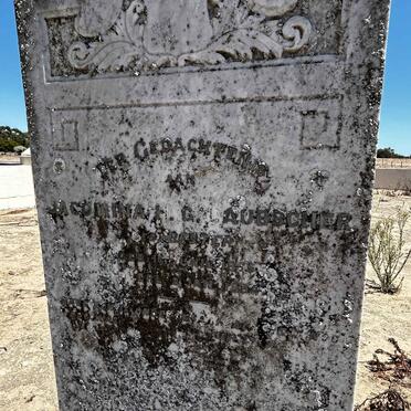 LAUBSCHER Jacomina H.G. nee BESTER 1855- 1894