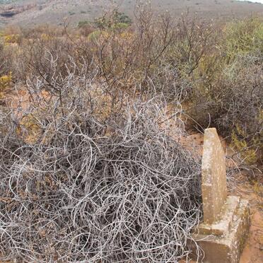 ? Unmarked grave with Tombstone