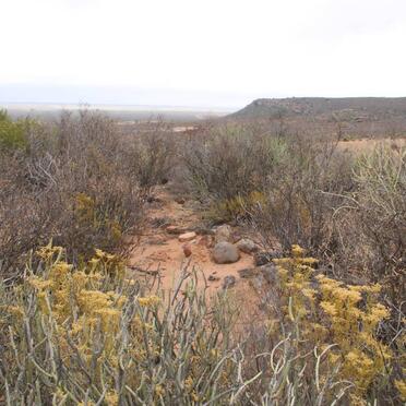 Western Cape, VREDENDAL district, Graafwater, Heeren Logement 442_6, Heerenlogement farm cemetery