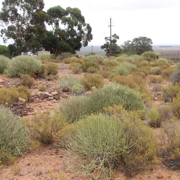Western Cape, VREDENDAL district, Graafwater, Heeren Logement 442_7, Heerenlogement farm cemetery