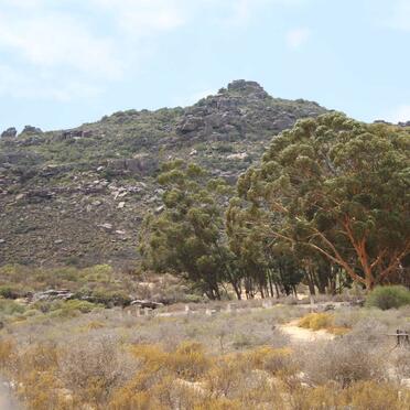 2. Overview on the cemetery