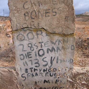 ? BONESS Chamien -1973