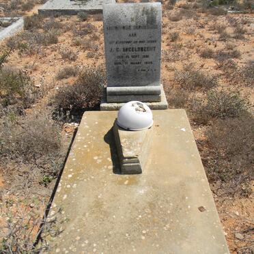 ENGELBRECHT J.C. 1881-1849