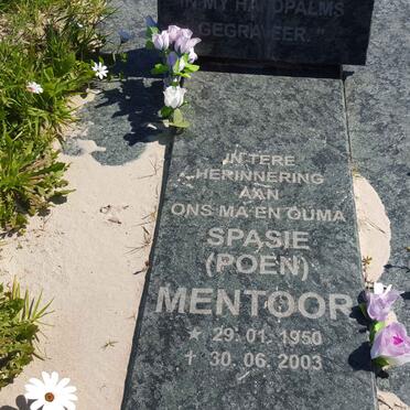 MENTOOR Spasie 1950-2003