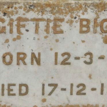 BIGGS Henry Grave -1913 :: BIGGS Jane Irene 1847-1951 :: BIGGS Giftie 1877-1953