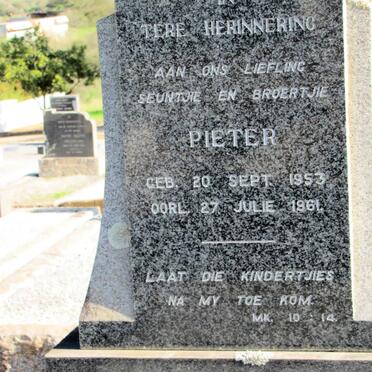 HUMAN Pieter 1953-1961