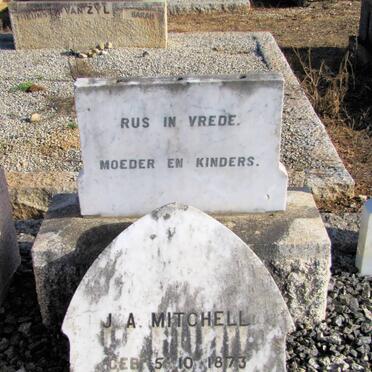MITCHELL J.A.1873-1901