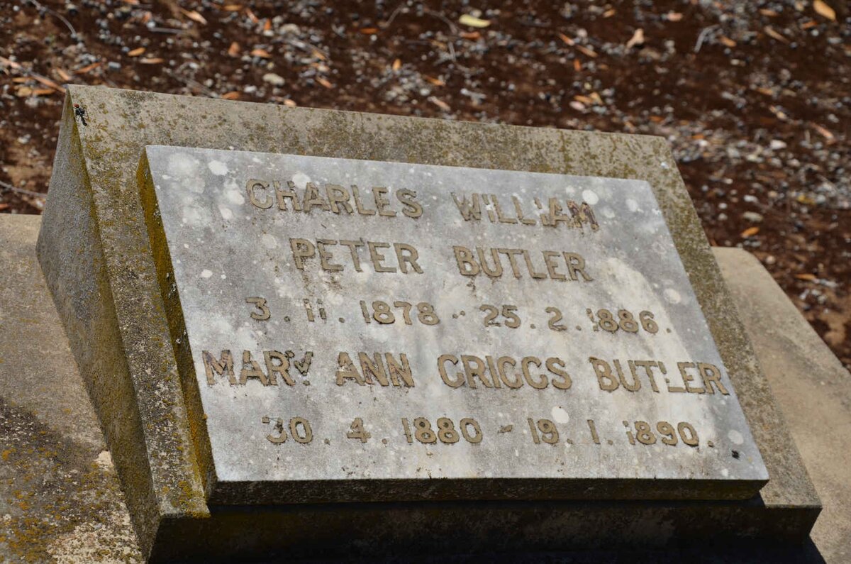 BUTLER Charles William Peter 1878-1886 &amp; Mary Ann CRIGGS 1880-1890