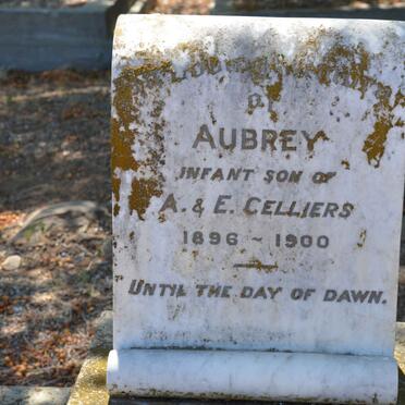 CELLIERS Aubrey 1896-1900