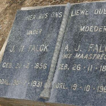 FALCK J.H. 1856-1931 &amp; A.J. MAASTRECHT 1873-1960