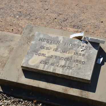 MOSTERT Hester 1859-1950