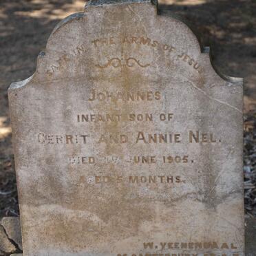 NEL Johannes -1905