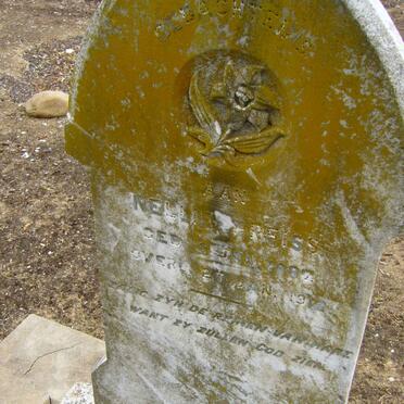 PREISS Nellie 1887-1912