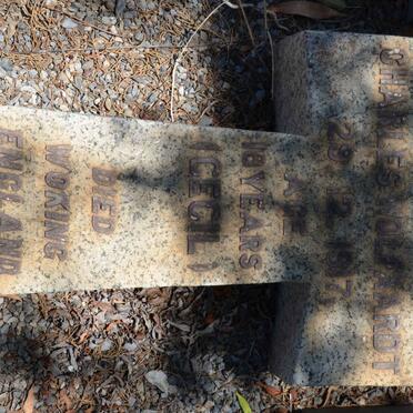 WOLFAARDT Charles -1917