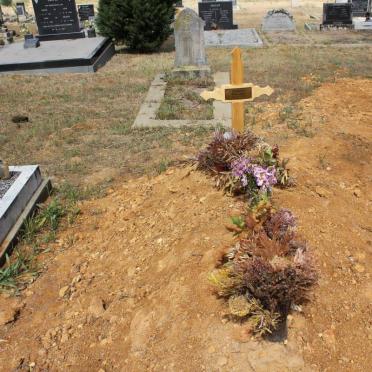 BEZUIDENHOUT Simon Jurgens 1929-2011