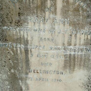 DAVIS Mary Ann 1838-1910