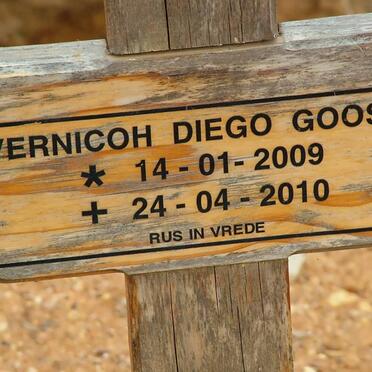 GOOSEN Vernicoh Diego 2009-2010