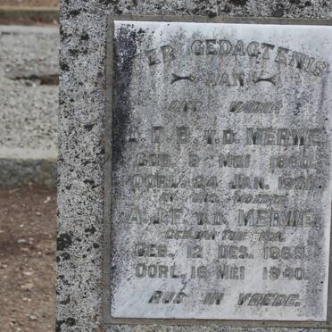 MERWE J.D.B., v.d. 1860-1931 &amp; A.J.F. TU??RGA 1865-1940