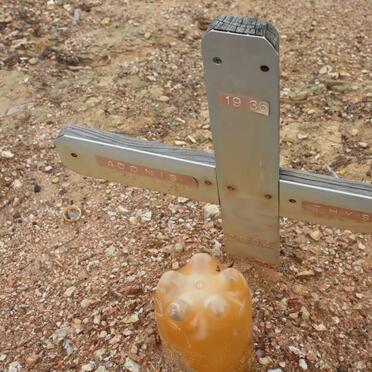 THYSE Adonis 1936-2004