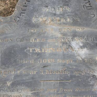 TRENGOVE John Charles -1872