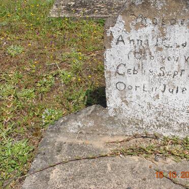 BANK Anna, v.d. nee VAN WYK 187?-1940