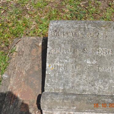 BERG Baby, v.d. 1950-1950