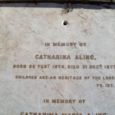 ALING family